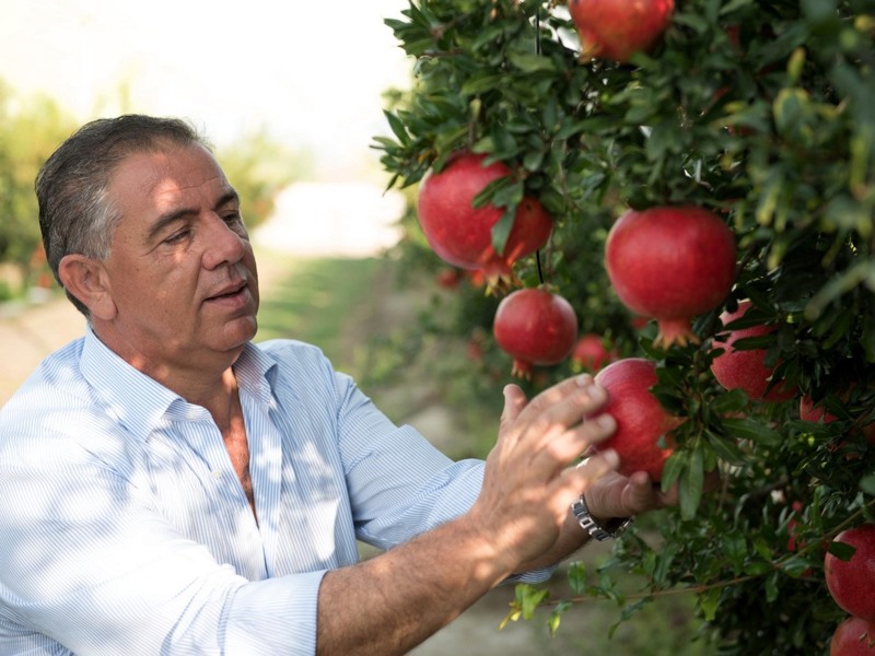 Natalino Gallo, presidente dell'Op Agricor