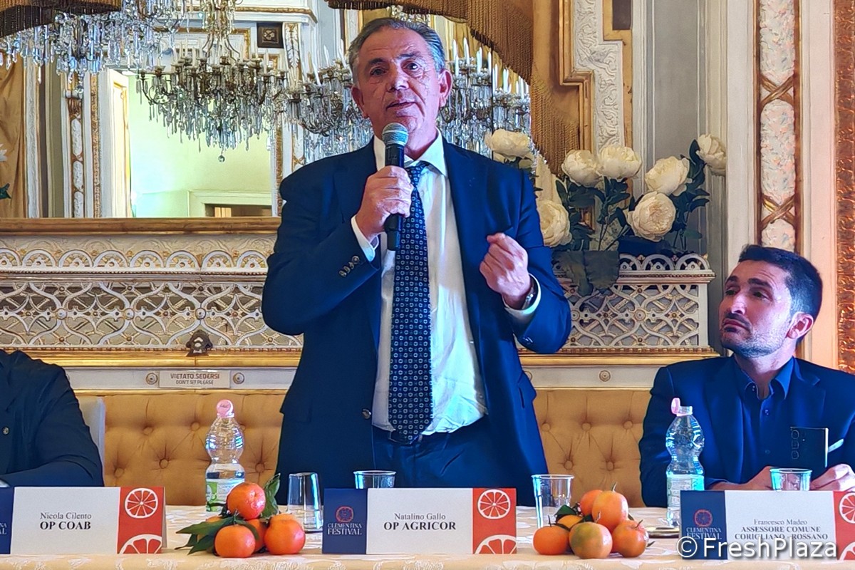 In prima linea per le Clementine di Calabria IGP